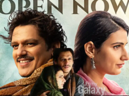 Gustaakh Ishq Movie Review: Vijay Varma Aur Fatima Sana Shaikh Ki Film Dikhti Khoobsurat, Par Story Mein Hai Kami Gustaakh Ishq Movie Review
