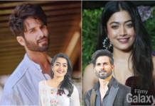 Shahid Kapoor Rashmika Mandanna Movie: Cocktail 2 Ke Baad Badhaai Ho Director Ke Saath Naya Project? Shahid Kapoor Rashmika Mandanna Movie