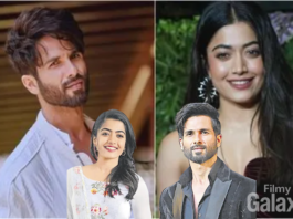 Shahid Kapoor Rashmika Mandanna Movie
