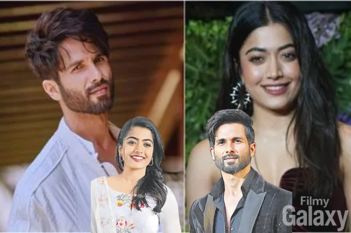 Shahid Kapoor Rashmika Mandanna Movie
