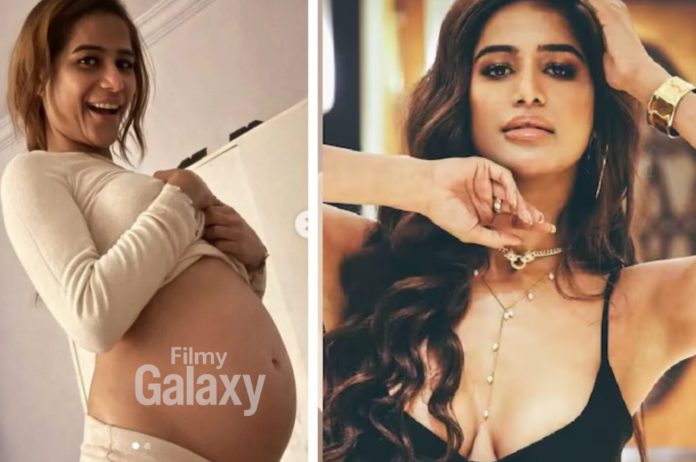Poonam Pandey Pregnancy Rumours