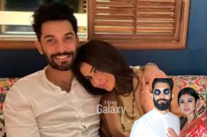 Suraj Nambiar Mouni Roy Divorce