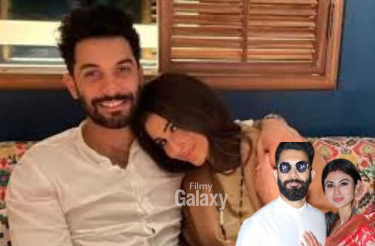 Suraj Nambiar Mouni Roy Divorce
