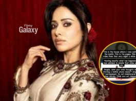 Nushrratt Bharuccha Instagram Story Clarification: Kya Sach Me IPL Final Video Me Inappropriate Sounds Thi? Nushrratt Bharuccha Instagram story