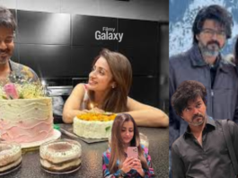 Trisha Vijay Birthday Wish