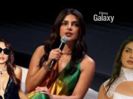 Priyanka Chopra Career Reinvention