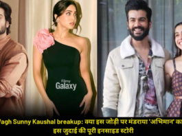 Sharvari Wagh Sunny Kaushal breakup