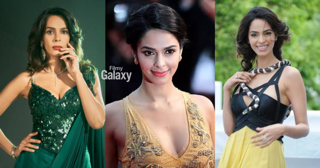 Mallika Sherawat divorce story