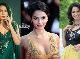 Mallika Sherawat divorce story