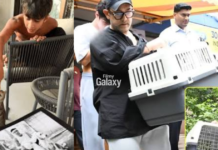 Kiran Rao Cat Miri Passes Away: किरण राव की पालतू बिल्ली ‘मीरी’ का निधन, बेटे आजाद का रोते हुए वीडियो वायरल होने के बाद लिखा भावुक नोट Kiran Rao cat Miri passes away