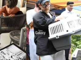 Kiran Rao Cat Miri Passes Away: किरण राव की पालतू बिल्ली ‘मीरी’ का निधन, बेटे आजाद का रोते हुए वीडियो वायरल होने के बाद लिखा भावुक नोट Kiran Rao cat Miri passes away