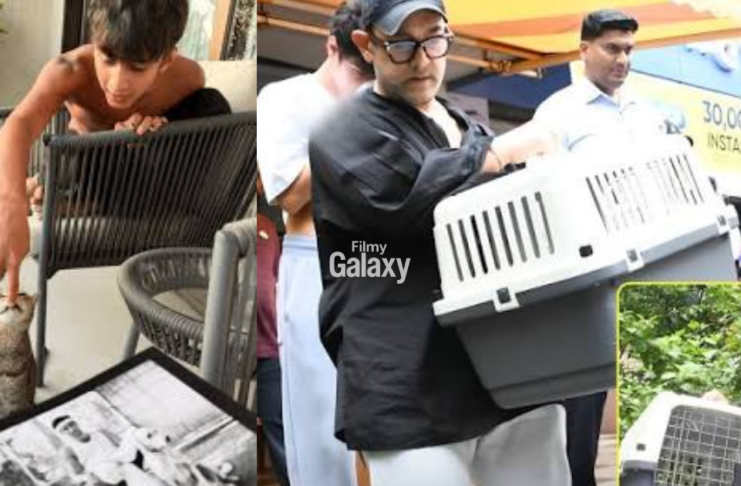 Kiran Rao cat Miri passes away