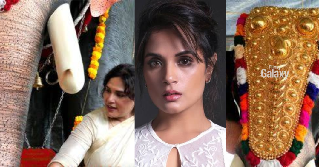 Richa Chadha mechanical elephant