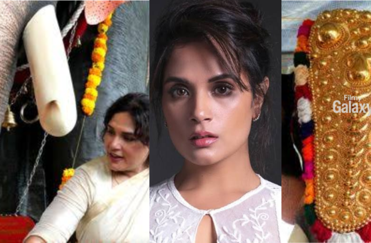 Richa Chadha mechanical elephant