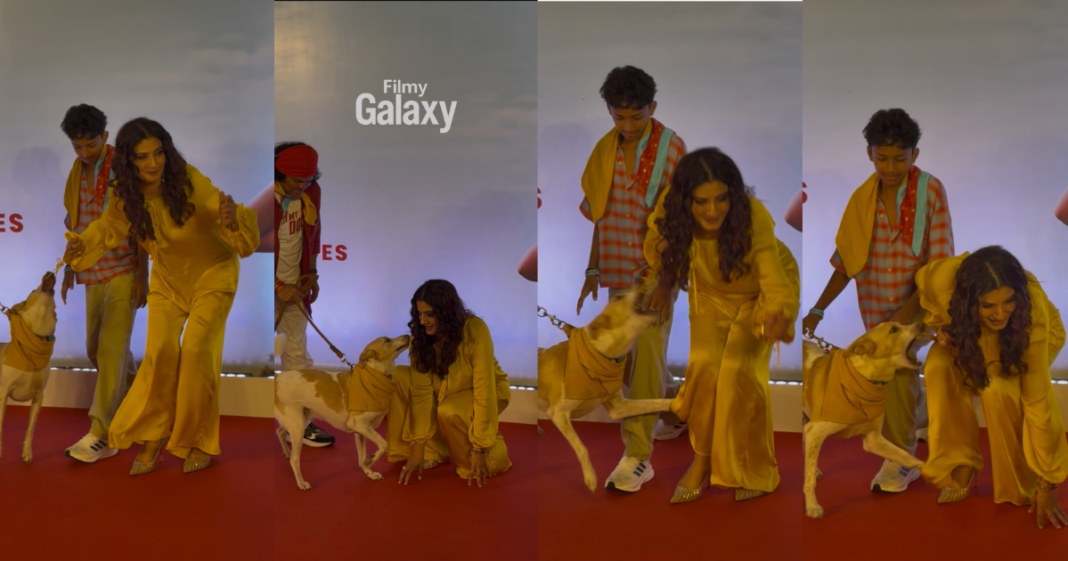 Raveena Tandon dog attack