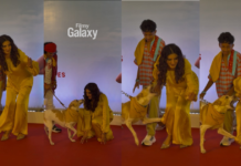 Raveena Tandon Dog Attack: इवेंट में अचानक काटने दौड़ा कुत्ता, एक्ट्रेस के कूल रिएक्शन ने जीता फैंस का दिल Raveena Tandon dog attack