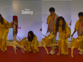 Raveena Tandon dog attack