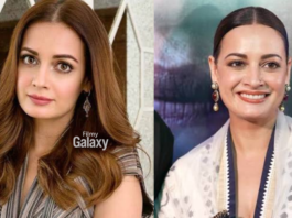 Dia Mirza parenting statement