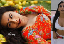 The Dirty Picture 2: विद्या बालन की ब्लॉकबस्टर के 15 साल बाद एकता कपूर ने किया सीक्वल का ऐलान, बोलीं- ‘कहने के लिए एक नई कहानी है’ The Dirty Picture 2